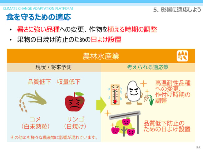 スライド56