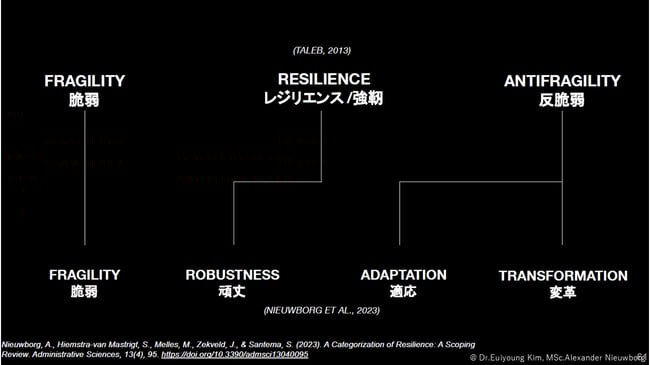 ２つレベルで反脆弱性（ピンチをチャンスに変える力）を捉える1