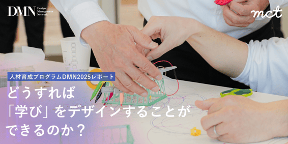 DMN_report-1