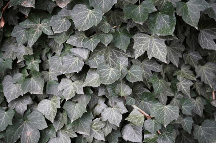 Screenshot 2026-02-09 at 12.58.55