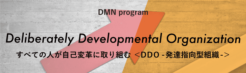 dmn Program