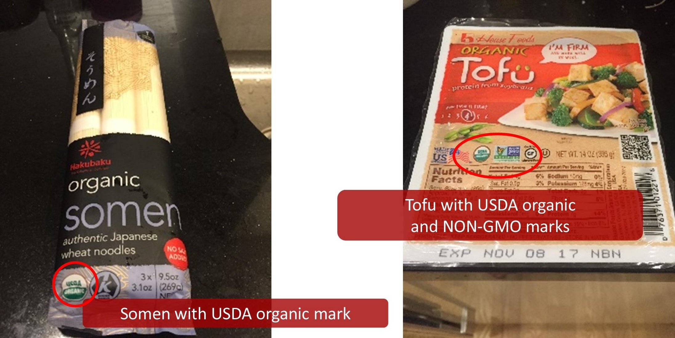 somen_and_tofu.jpg