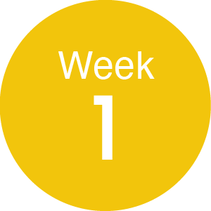week1