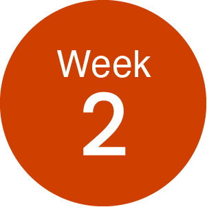 week2