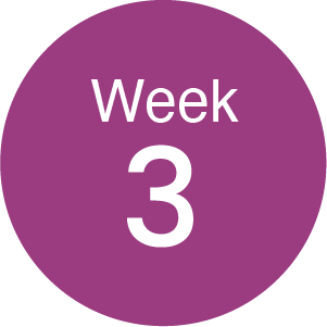 week3