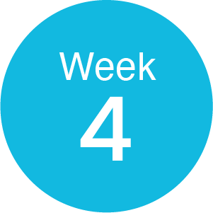 week4