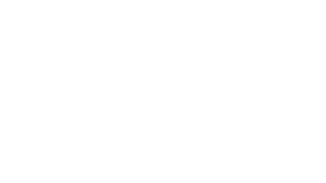 DMN_Logo_White